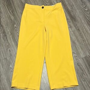 Ann Taylor Crop Wide-Leg Pants